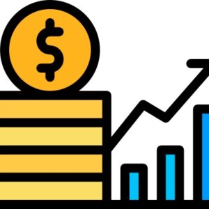 CFO Services